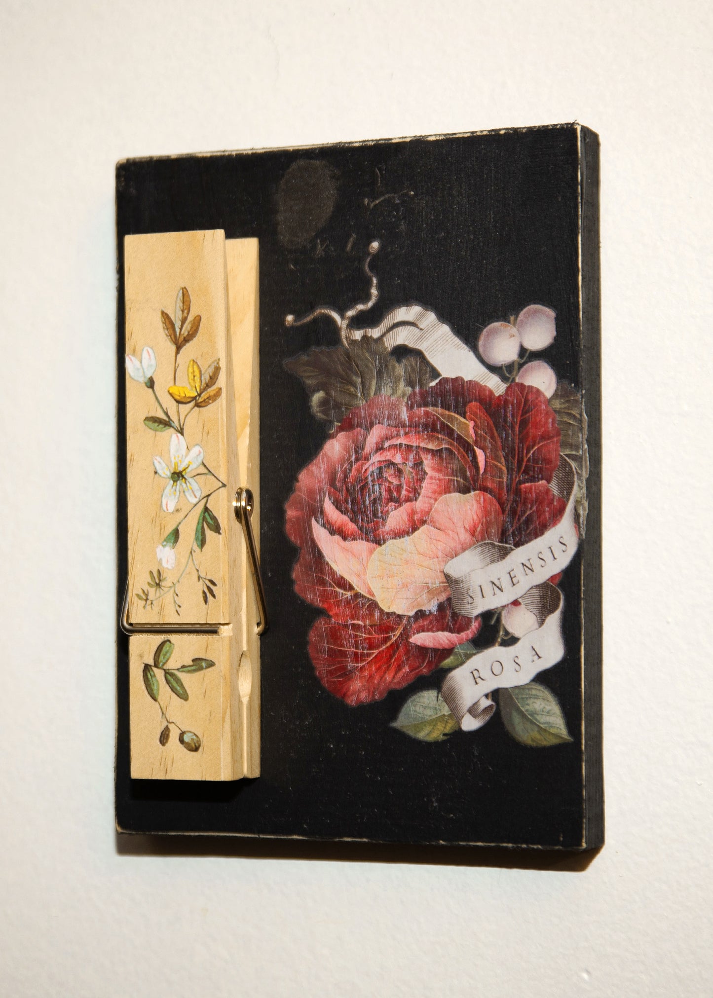Wall Hanging with Large Clip